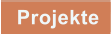 Projekte